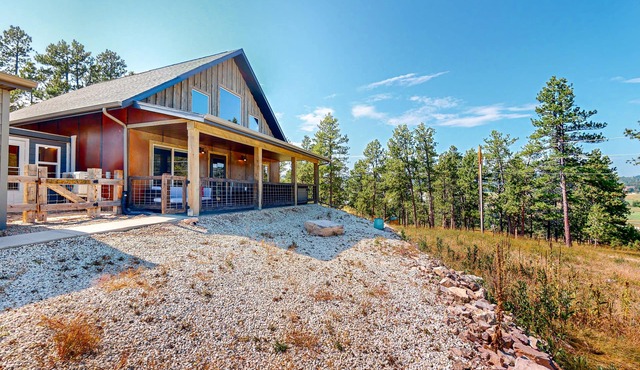 Inviting mountainside cabin, dog-friendly, with grill, central AC, & W/D