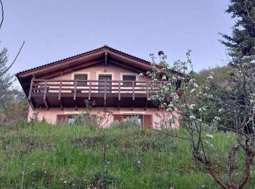 Ipati Forest Chalet