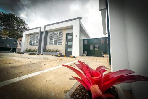Isabela Luxury Escape Serenity