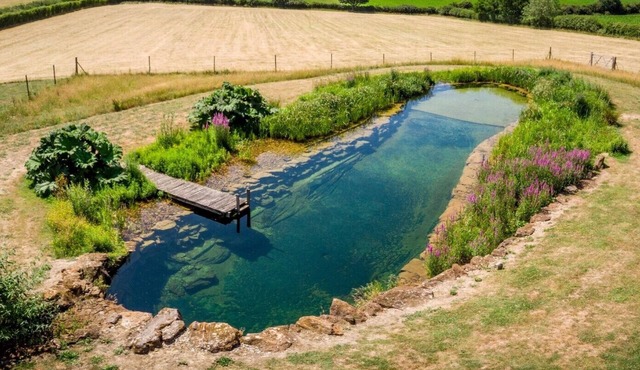 Isla's Den - peaceful, private garden/Sauna, swimming lake, Spa and Wellness