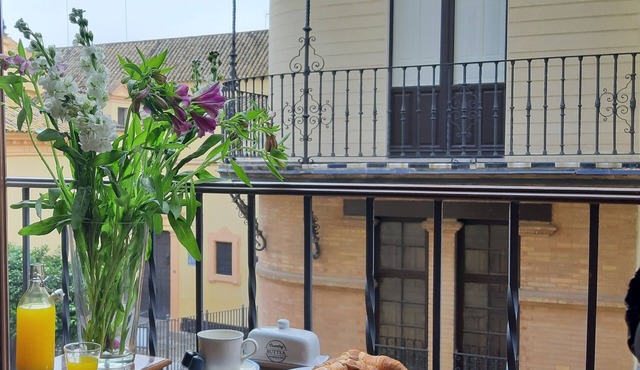 Ispal Apartament Seville city center & parking (vftse06601) (garage ford: 06798)