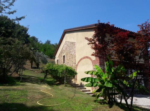 Istanti - Bambù