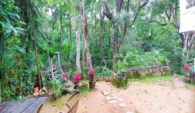iSTAYS - Loop Road Yercaud