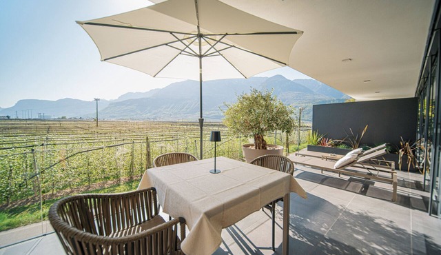 Chalet Agave I Luxury Adults Only | Olive 742B
