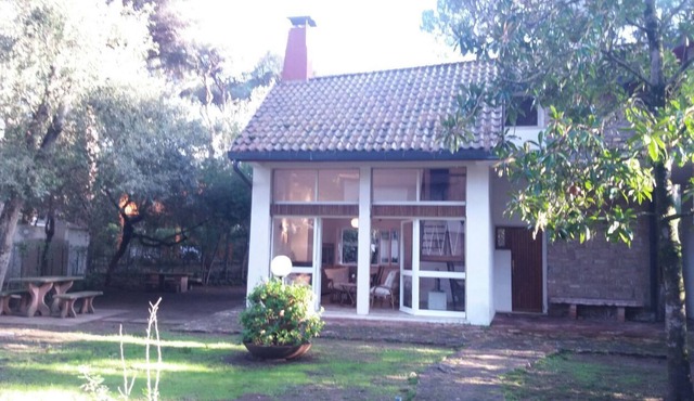 Villa with fenced garden among the pine trees near the sea, bright and comfortable