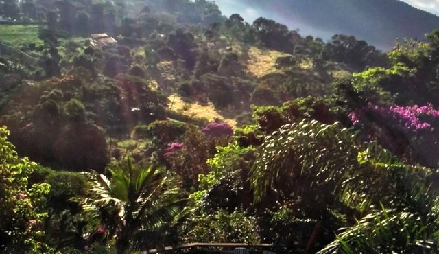 Itaipava House