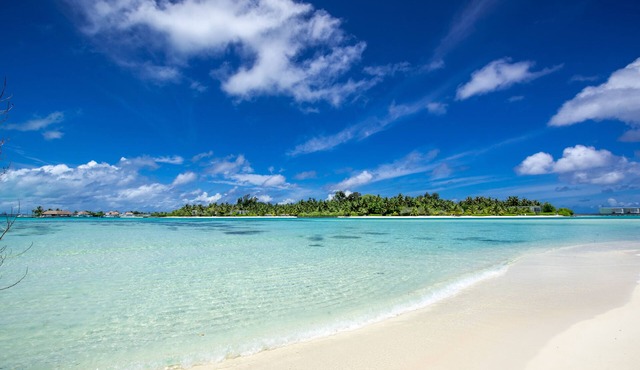 Ithaa Beach Maldives