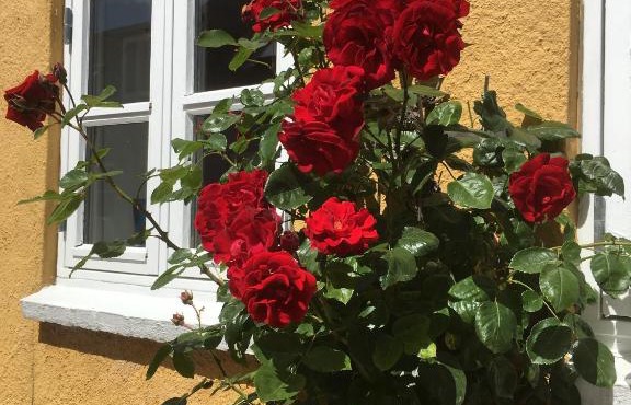 Jan og Inges Bed & Breakfast