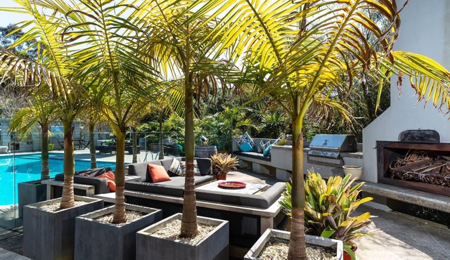 Jasa's Vineyard Estate | Stay Waiheke