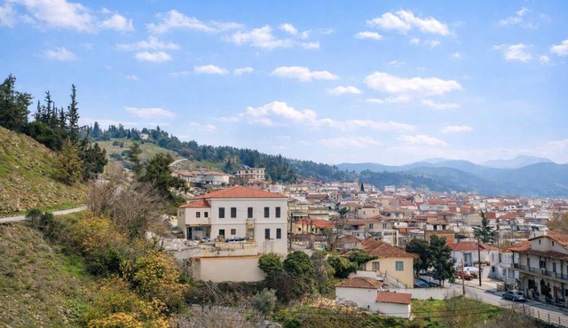Jayne’s Rooms - Central Cozy Stay in Elassona