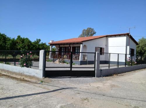 Joanna's House