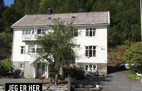 Josygaard