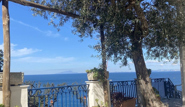 Joyful seafront villa on the Sorrento coast with stunning view on Naples Gulf