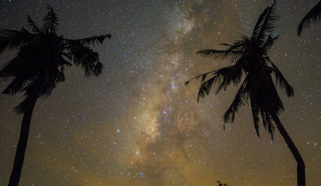 Juhu Farmstay