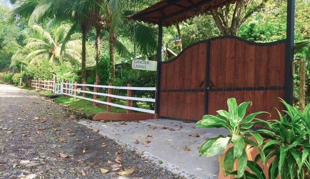Jungle and river view cabin., lowest nightly rates!