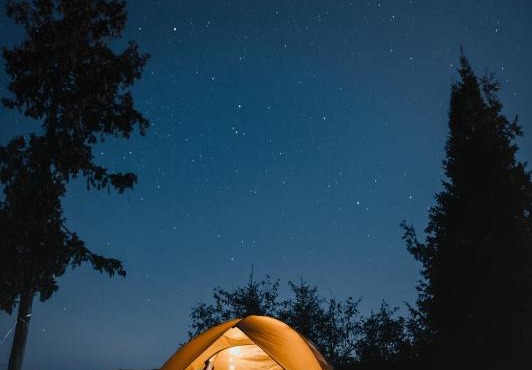 Jungle Campingg