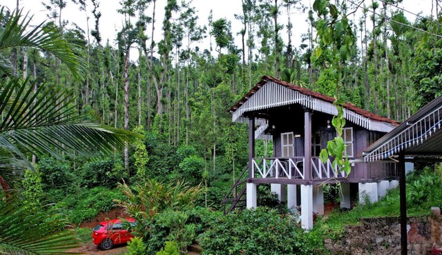Jungle Greens Homestay - 150Y Old Coffee Estate, Home Food, Jungle Safari