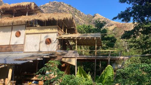 Jungle Haven