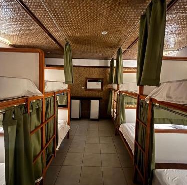 Jungle Hostel