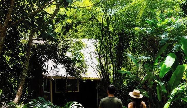 Jungle Like Oasis in San Ignacio - Secluded Cabaña Retreat Close To Mayan Ruins