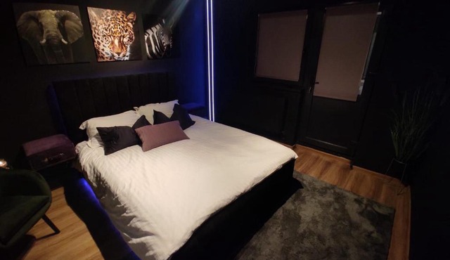 Jungle Studio BRAILA