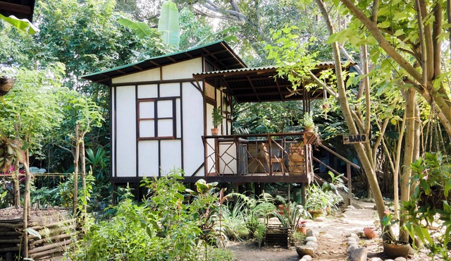 Jungle Tiny House Walk to Beach & Waterfall