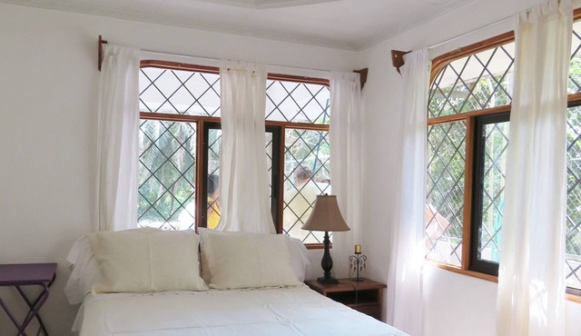 Jungle View, Private, Near Beach/Town, W/ Pool, Macaws, Titi Monkeys