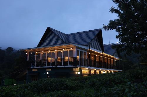 jungle view resort