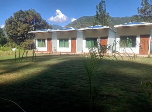 Junglow Resort