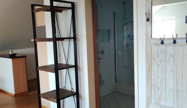Junior Suite Apartment