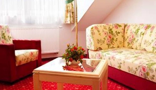 Junior suite "Elbblick", bath, WC - Elbhotel Bad Schandau