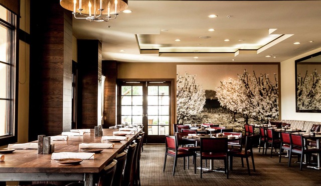 Juniper Hotel Cupertino, Curio Collection by Hilton