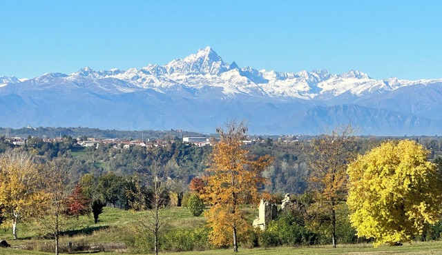 Just Langhe Casa Dolcetto