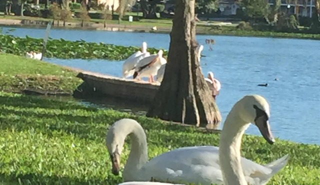 Just steps from Florida Southern College and Lake Morton