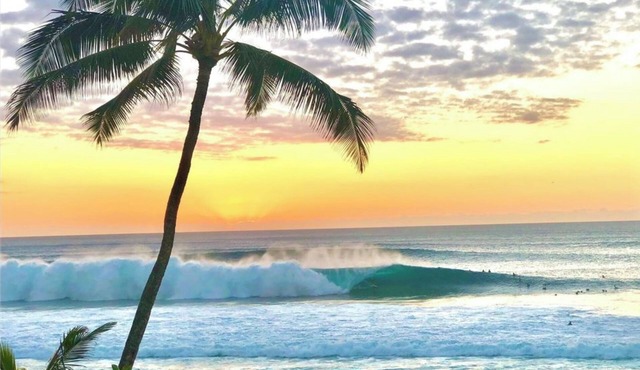 Just steps from world-class surf, golden beaches, and stunning sunsets.