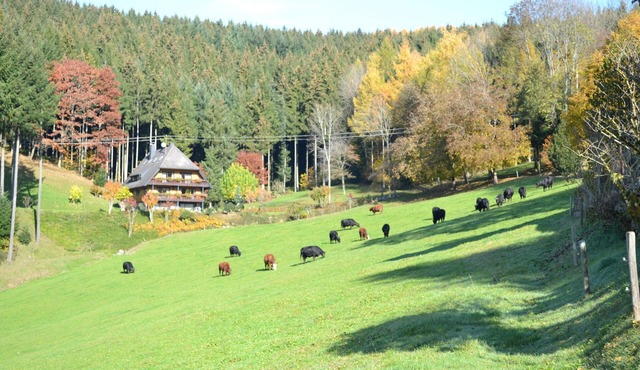 Königswald-Silberberg-Kupferberg, 70sqm, 2 bedrooms, max. 6 people