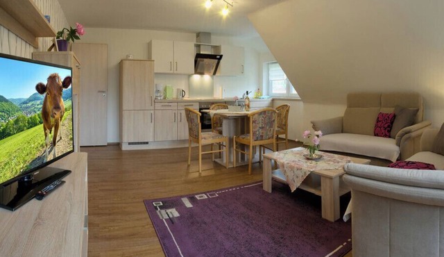 Köpfleblick vacation apartment in Haus Bergblick