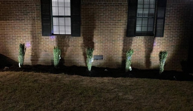 K's Cozy 3-bedroom home in welcoming Tuskegee
