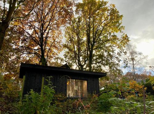 Kabana - eco forest suite