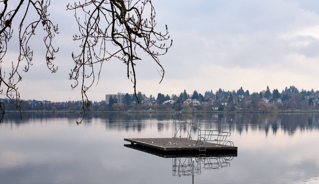 KABINO: Mini Modern TINY HOME Heart of Green Lake Pet Friendly WiFi Loft up Ladder plus Sleeper Sofa