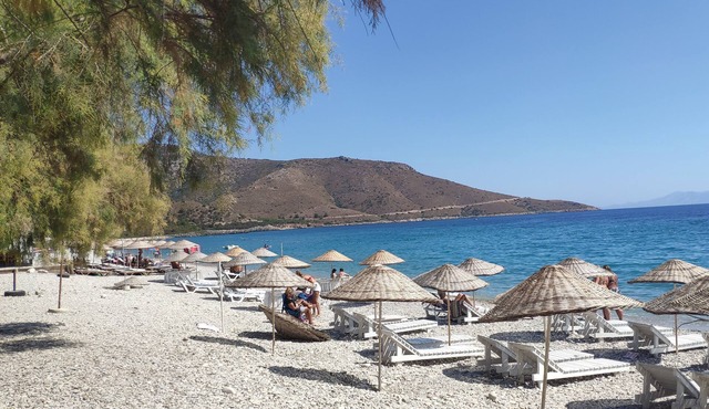 Kabuk Ev Pansiyon