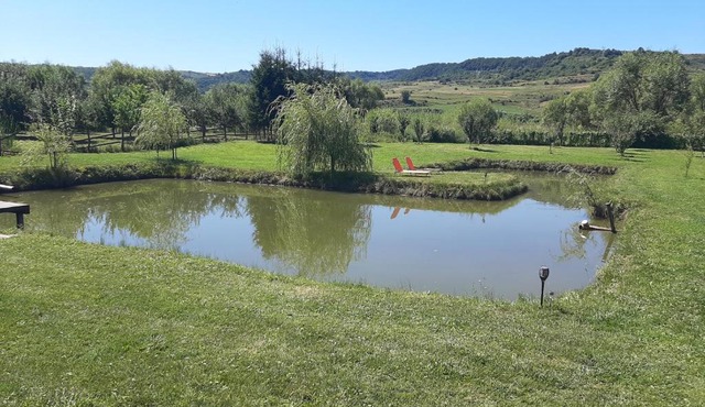 Kacsó Apartma