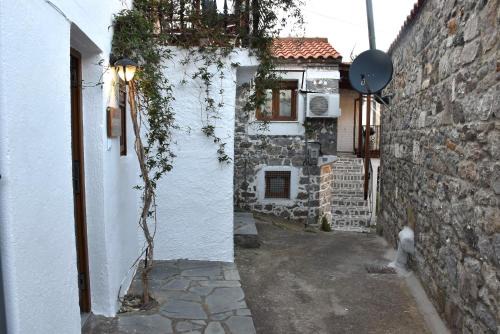 Kactro House