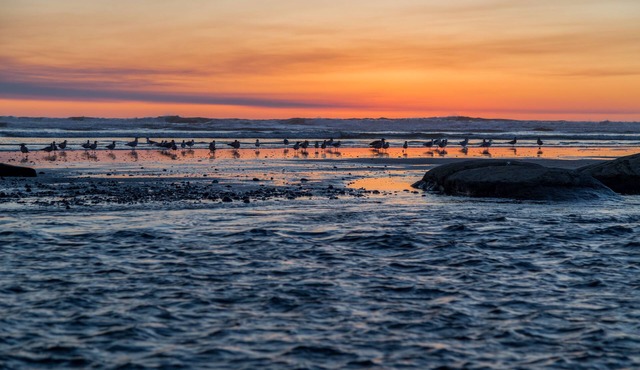 Kalaloch Lodge
