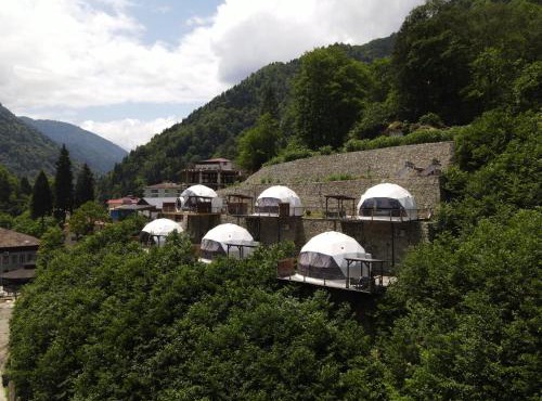 Kaledome Orman evleri