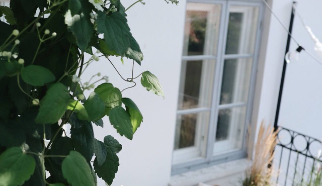 Kalk Hotel