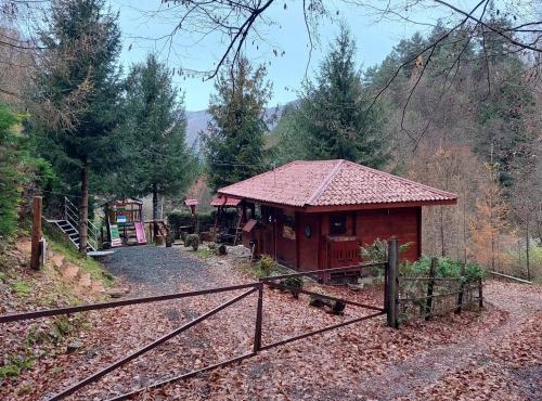 KALMul naturii, iureșul pădurii