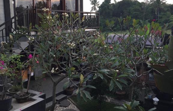 Kamol House Ubud