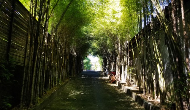 Kampoeng Bamboo w/Private Pool 50Mbps Internet