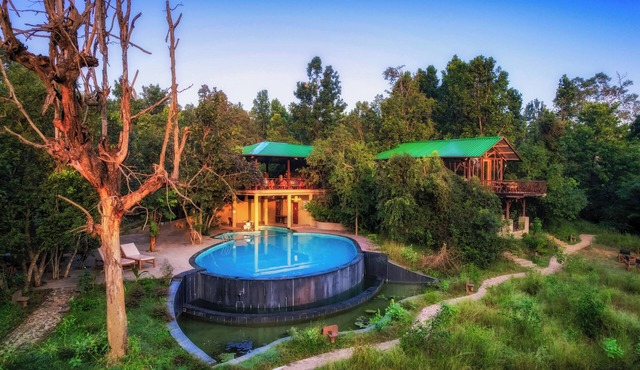 Kanha Jungle Camp